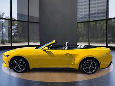 2024 Ford Mustang — detail view