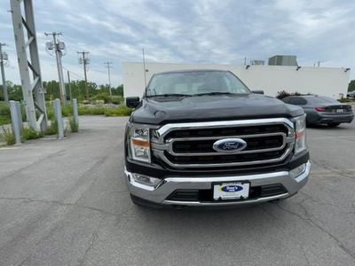 2023 Ford F-150 — rear three-quarter view