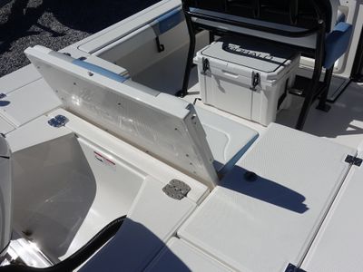 2026 Robalo 246 Cayman - Photo 19
