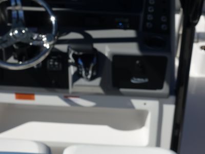 2026 Robalo 246 Cayman - Photo 24