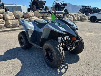 2025 Kawasaki KFX90 - Photo 2