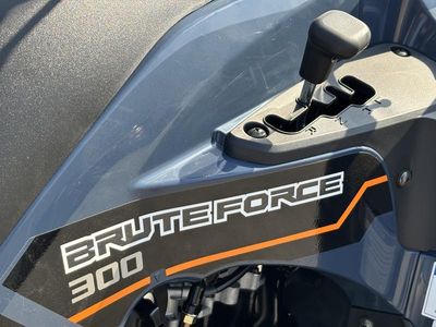 2025 Kawasaki Brute Force 300 - Photo 6