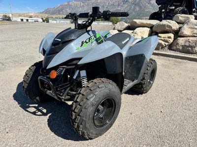 2025 Kawasaki KFX90 - Photo 1
