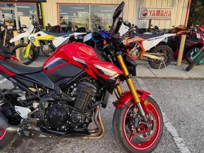 2022 Kawasaki Z900 50th Anniversary - Photo 11