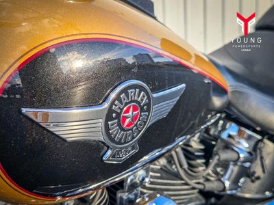 2017 Harley-Davidson FLSTF - Fat Boy - Photo 6