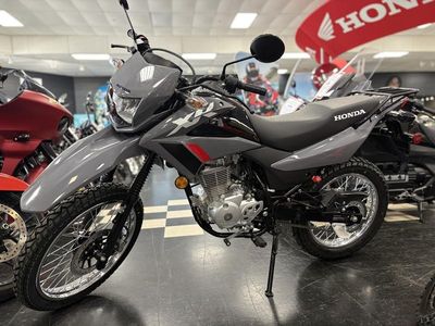 2025 Honda XR150L - Photo 2