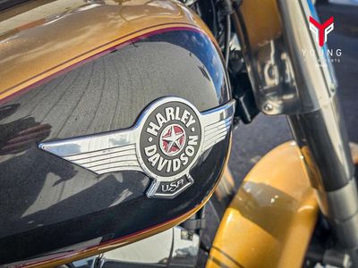 2017 Harley-Davidson FLSTF - Fat Boy - Photo 13