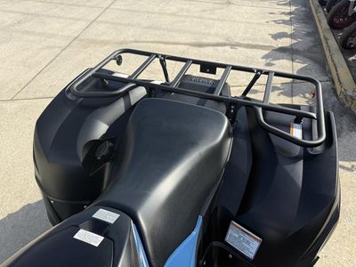 2025 Yamaha Grizzly EPS LTD - Photo 12