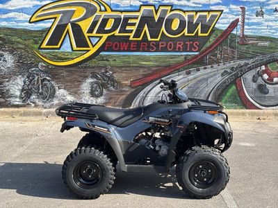 2025 Kawasaki Brute Force 300 - Photo 3