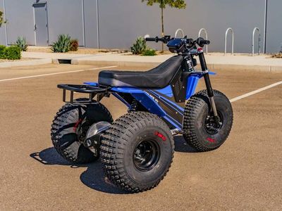 2025 MINI RCR T3 - Photo 4