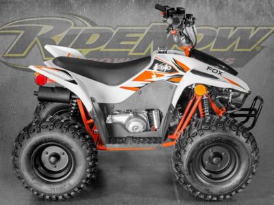 2025 Kayo TT 125 EFI - Photo 5