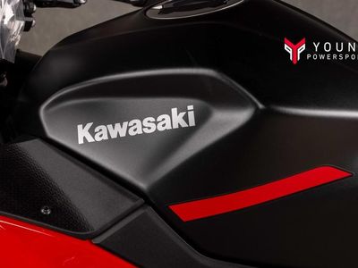 2025 Kawasaki Ninja 500 ABS Passion Red/Metallic Flat Spark Black - Photo 20