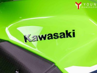 2026 Kawasaki Ninja 500 - Photo 22