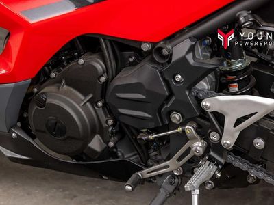 2025 Kawasaki Ninja 500 ABS Passion Red/Metallic Flat Spark Black - Photo 11