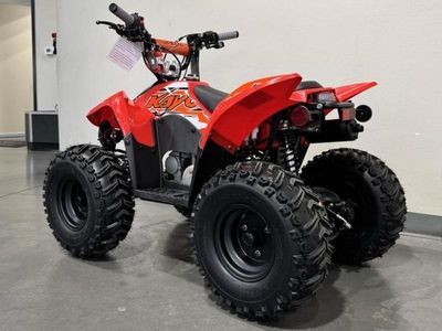 2026 Kayo Fox / Storm 70 - Photo 4