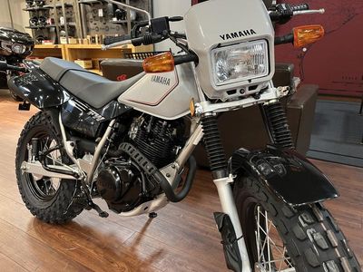 2026 Yamaha TW200 - Photo 2