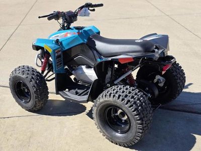 2026 Can-Am Renegade 110 EFI - Photo 6