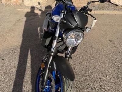 2026 Suzuki SV650 ABS - Photo 4