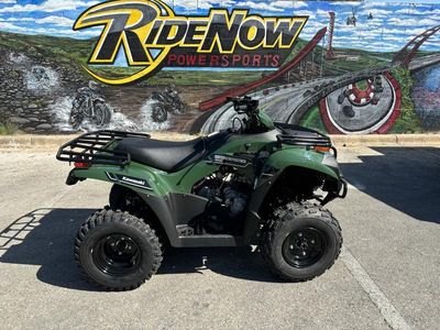 2025 Kawasaki Brute Force 300 - Photo 4