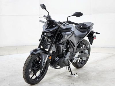 2025 Yamaha MT-03 - Photo 2