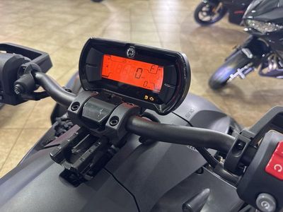 2025 Can-Am Ryker Rally - Photo 10