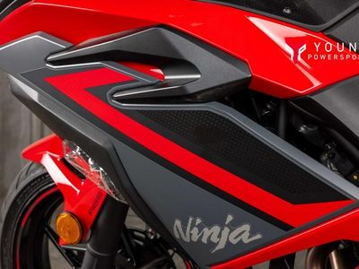 2025 Kawasaki Ninja 500 ABS Passion Red/Metallic Flat Spark Black - Photo 13