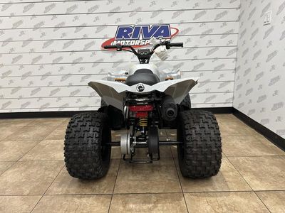 2025 Can-Am Renegade 110 EFI - Photo 6