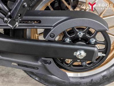2026 CFMOTO 450CL-C - Photo 11
