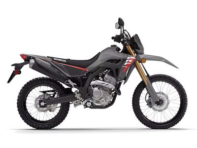 2025 Honda CRF300L Rally ABS - Photo 1