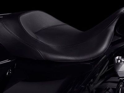 2021 Harley-Davidson Electra Glide Standard - Photo 23