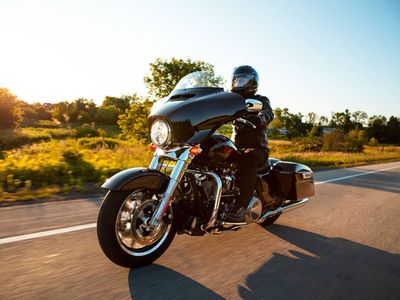 2021 Harley-Davidson Electra Glide Standard - Photo 10