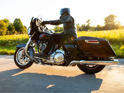 2021 Harley-Davidson Electra Glide Standard - Photo 11