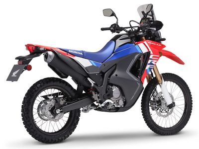 2025 Honda CRF300L Rally ABS - Photo 3