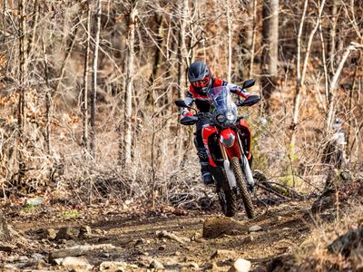 2025 Honda CRF300L Rally ABS - Photo 12