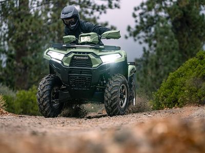 2025 Kawasaki Brute Force 750 LE EPS - Photo 18