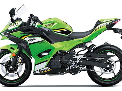 2025 Kawasaki Ninja 500 SE KRT Edition ABS - Photo 3