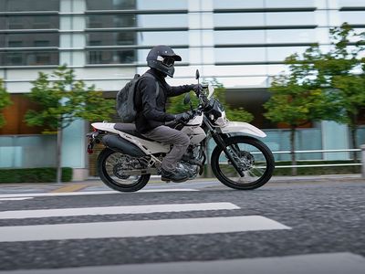 2026 Kawasaki KLX230 SHERPA S ABS - Photo 21
