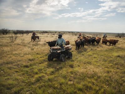 2023 Polaris Sportsman 570 - Photo 3