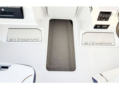 2026 Stingray 172DC - Photo 17