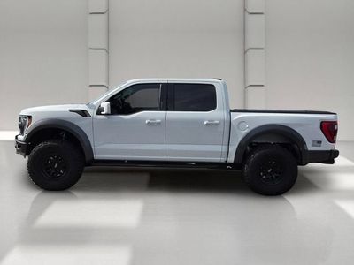 2023 Ford F-150 — side profile view