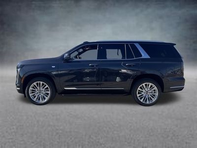 2025 Cadillac Escalade — detail view