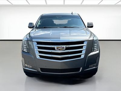 2019 Cadillac Escalade — side profile view