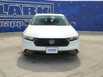2026 Honda Accord — side profile view