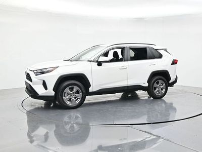 2025 Toyota RAV4 Hybrid — detail view