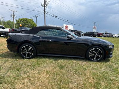 2024 Ford Mustang — detail view