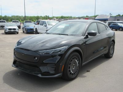 2025 Ford Mustang Mach-E — rear three-quarter view