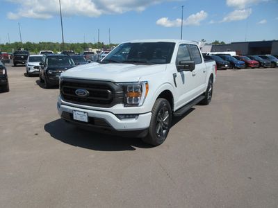 2023 Ford F-150 — side profile view