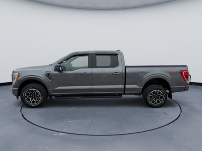 2023 Ford F-150 — side profile view