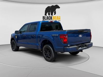 2025 Ford F-150 — detail view