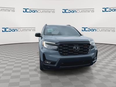 2022 Honda Passport — rear three-quarter view